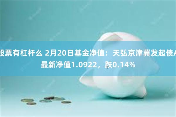 股票有杠杆么 2月20日基金净值：天弘京津冀发起债A最新净值1.0922，跌0.14%