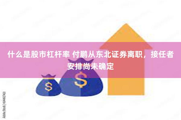 什么是股市杠杆率 付鹏从东北证券离职，接任者安排尚未确定