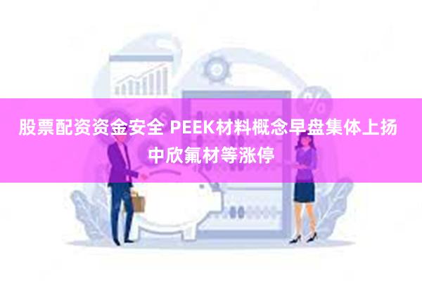 股票配资资金安全 PEEK材料概念早盘集体上扬 中欣氟材等涨停