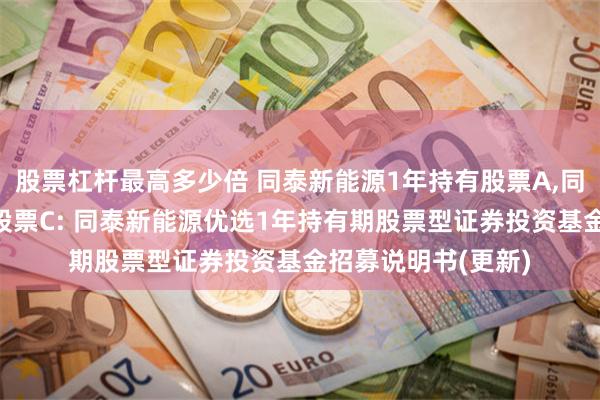 股票杠杆最高多少倍 同泰新能源1年持有股票A,同泰新能源1年持有股票C: 同泰新能源优选1年持有期股票型证券投资基金招募说明书(更新)
