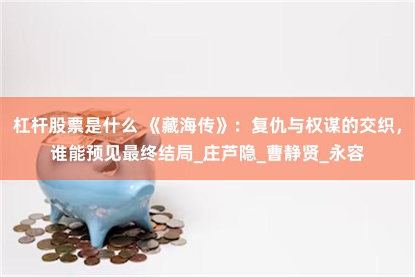 杠杆股票是什么 《藏海传》：复仇与权谋的交织，谁能预见最终结局_庄芦隐_曹静贤_永容
