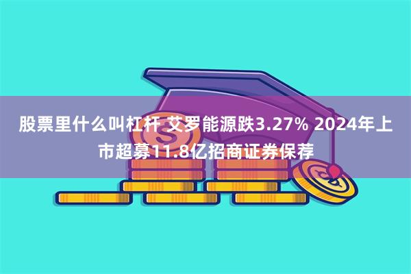 股票里什么叫杠杆 艾罗能源跌3.27% 2024年上市超募11.8亿招商证券保荐
